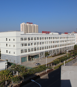 t_z_company01 t_z_company01